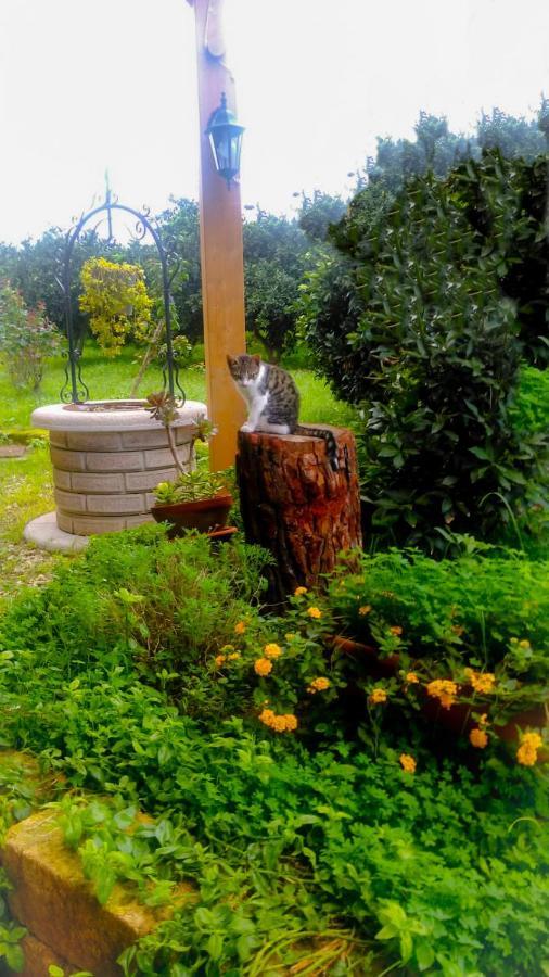 Il Giardino Del Sole Villa Agnone Bagni Exterior photo