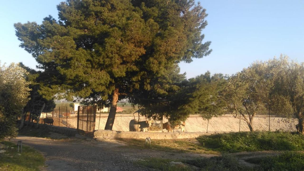 Il Giardino Del Sole Villa Agnone Bagni Exterior photo