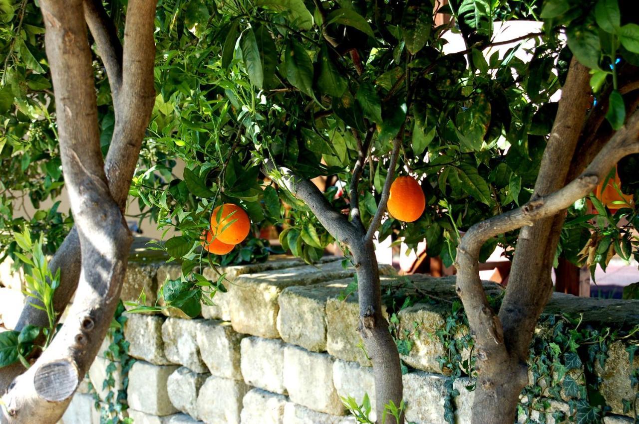 Il Giardino Del Sole Villa Agnone Bagni Exterior photo